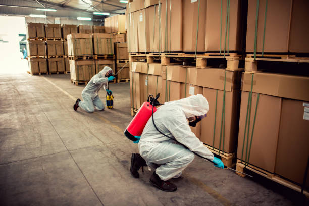 Best Termite Control Services  in Lake Marcel Stillter, WA