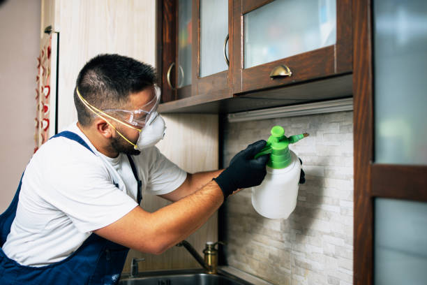 Best Affordable Pest Control Services  in Lake Marcel Stillter, WA