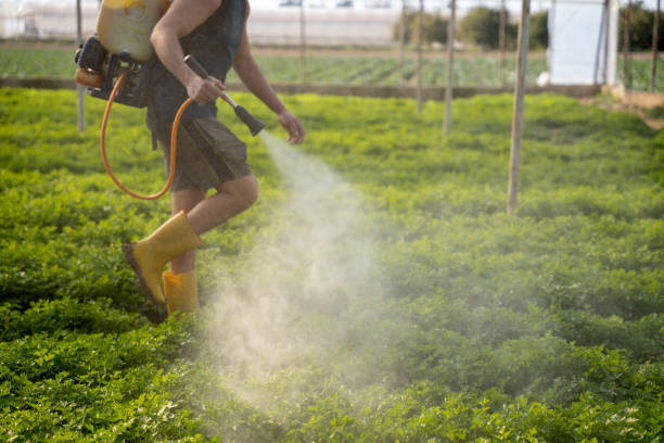 Trusted Lake Marcel Stillwater, WA Pest Control Experts
