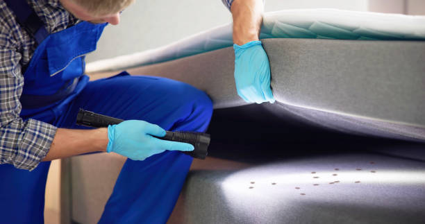 Pest Prevention Services in Lake Marcel Stillwater, WA
