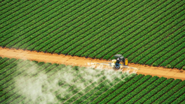 Best Best Pest Control Companies  in Lake Marcel Stillter, WA