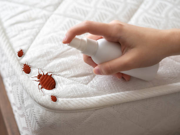 Best Exterminator Services  in Lake Marcel Stillter, WA