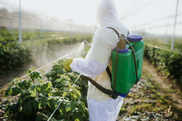  Lake Marcel Stillter, WA Pest Control Pros